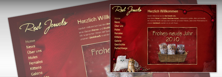 Red Jewels - Perser u. ExoticShorthair Katzenzucht